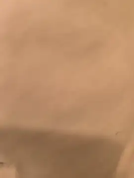 bwcfleshlight online show from April 14, 2026, 12:15 am