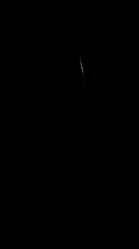 nenalayla online show from February 13, 2026, 8:03 am