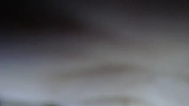 swt shadow online show from February 20, 2026, 7:27 pm