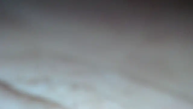 swt shadow online show from February 13, 2026, 7:36 pm