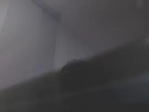 Snapshot of violetasweet11 chatting on February 19, 2026, 7:05 am violetasweet11 online show from February 19, 2026, 7:05 am