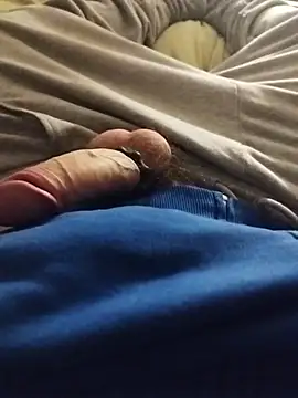 Purple Flamingo online show from February 3, 2026, 8:58 pm