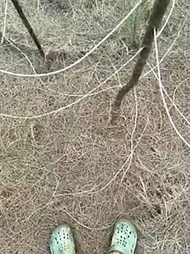 Gopal1243 online show from April 9, 2026, 1:18 am