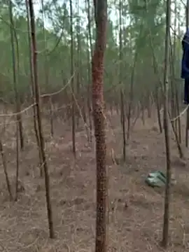 Gopal1243 online show from March 27, 2026, 1:14 am