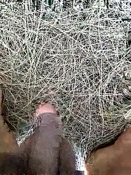 Gopal1243 online show from February 19, 2026, 8:11 am