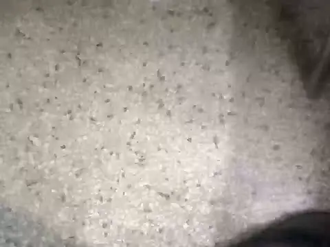 Rajibsorkar20 online show from February 10, 2025, 9:04 pm