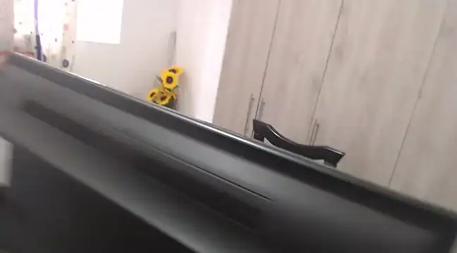 agatfox online show from January 4, 2025, 2:25 pm