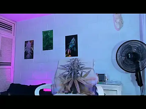 drippyorlovee online show from February 11, 2026, 7:58 pm