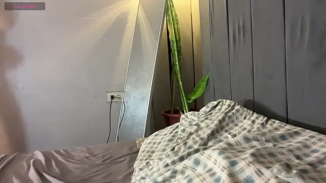 wiggle nibble online show from January 17, 2026, 7:28 pm