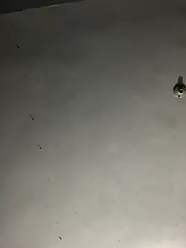 JayJayRod online show from November 1, 2025, 6:08 am