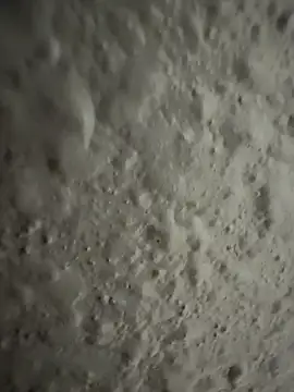 Hornbody online show from April 10, 2026, 7:32 pm