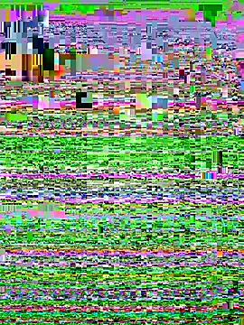 Snapshot of Shamang269 chatting on November 10, 2025, 5:07 pm Shamang269 online show from November 10, 2025, 5:07 pm