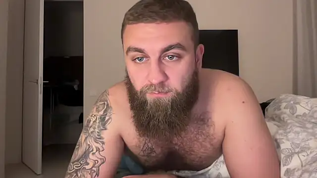 Bear bear  online show from November 18, 2025, 7:50 pm