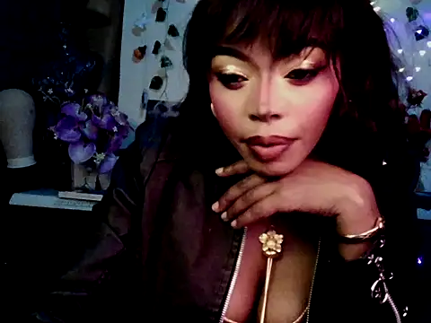 Anaconda2350 online show from April 4, 2026, 12:17 am