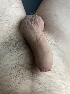 Pascutt online show from April 16, 2026, 5:41 am