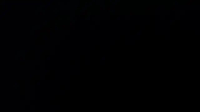 patty bersh online show from October 27, 2025, 11:49 pm