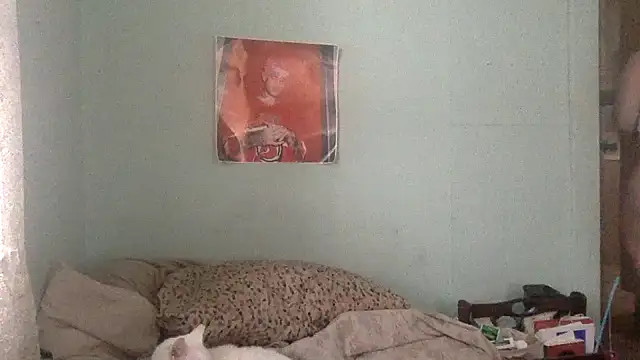 Snapshot of alexabunni chatting on November 17, 2025, 4:00 pm alexabunni online show from November 17, 2025, 4:00 pm