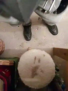 Lajkii online show from April 9, 2026, 12:01 am