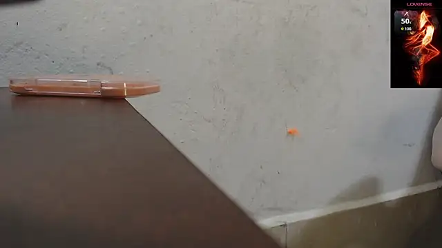 toxxxic cams online show from November 22, 2025, 4:33 am