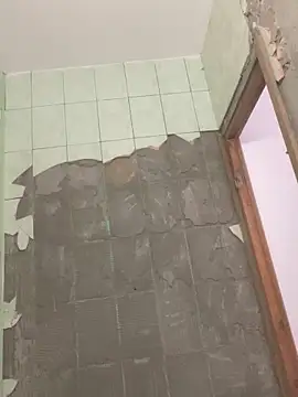 Snapshot of sxxxxxxlll chatting on November 17, 2025, 6:06 am sxxxxxxlll online show from November 17, 2025, 6:06 am