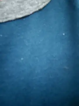 Snapshot of Bangalorebull chatting on October 17, 2025, 3:21 am Bangalorebull online show from October 17, 2025, 3:21 am