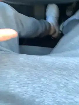 Snapshot of Fellix chatting on December 28, 2024, 8:37 am Fellix online show from December 28, 2024, 8:37 am