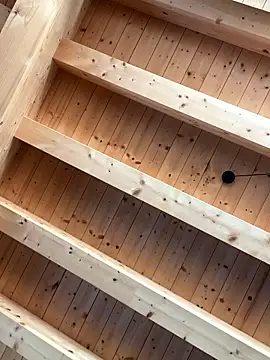 Snapshot of Fellix chatting on January 7, 2026, 11:15 am Fellix online show from January 7, 2026, 11:15 am