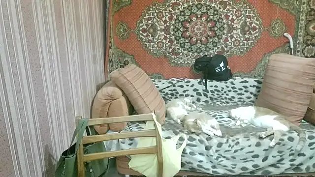 Snapshot of Kathlyn__Heath chatting on February 18, 2026, 1:36 am Kathlyn Heath online show from February 18, 2026, 1:36 am