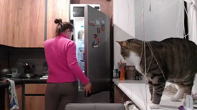 delightful sofi online show from January 6, 2026, 2:54 pm