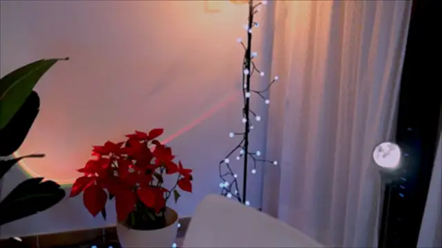 Snapshot of anabelcurvy chatting on January 2, 2025, 5:18 pm anabelcurvy online show from January 2, 2025, 5:18 pm
