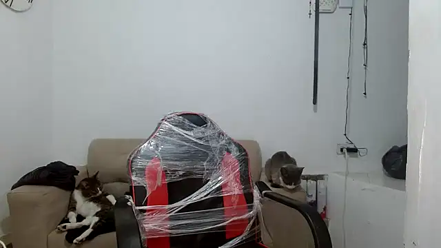 Snapshot of angelamarie1 chatting on September 29, 2025, 11:05 am angelamarie1 online show from September 29, 2025, 11:05 am