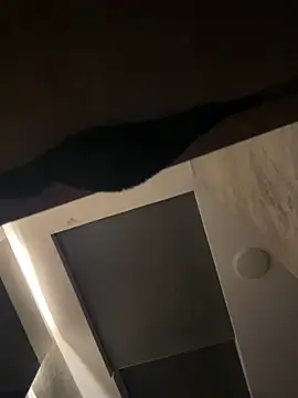 Snapshot of CeliWoods chatting on September 20, 2025, 10:09 am CeliWoods online show from September 20, 2025, 10:09 am