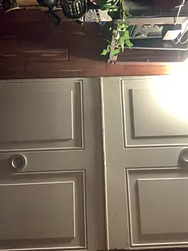 Snapshot of Likewise chatting on February 3, 2026, 1:38 pm Likewise online show from February 3, 2026, 1:38 pm