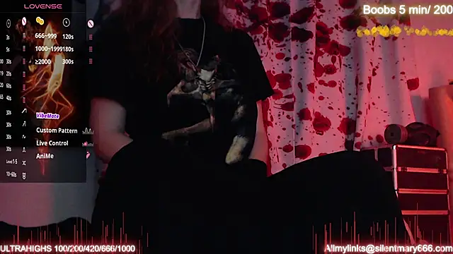 Silentmary online show from October 24, 2025, 11:26 pm