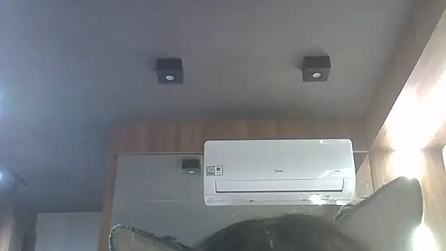 Snapshot of Skinny-Kitten chatting on January 15, 2026, 3:32 am Skinny-Kitten online show from January 15, 2026, 3:32 am