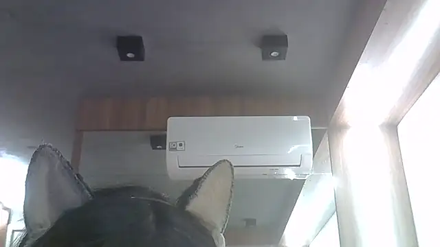 Skinny-Kitten online show from June 4, 2026, 11:42 pm