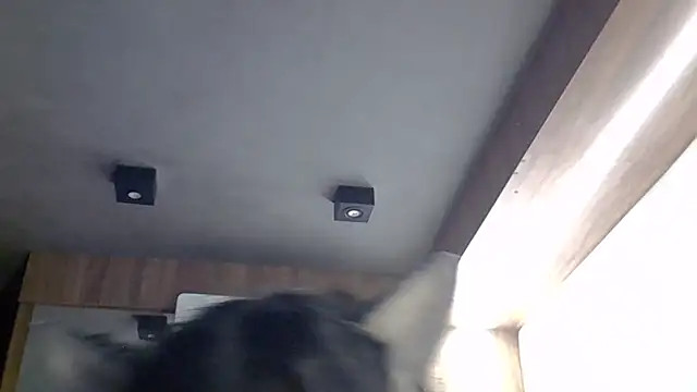 Skinny-Kitten online show from March 30, 2026, 4:52 pm