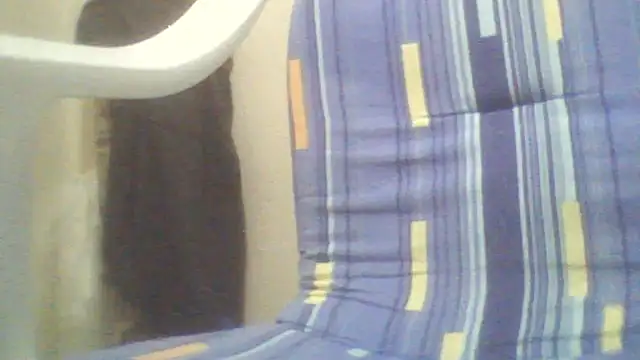 Snapshot of bestofyalcinturkey chatting on February 16, 2025, 10:11 pm bestofyalcinturkey online show from February 16, 2025, 10:11 pm