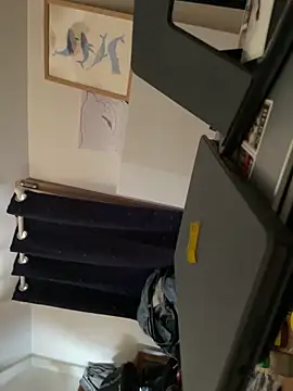 la chiennete online show from February 13, 2026, 2:06 pm