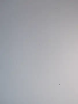 Delicy1 online show from February 12, 2025, 4:44 pm