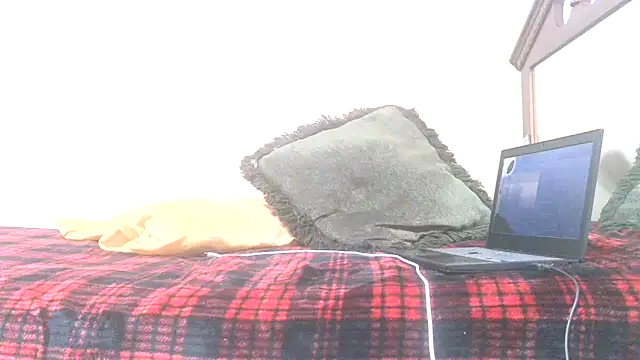 blkhereforall online show from October 26, 2025, 9:26 pm