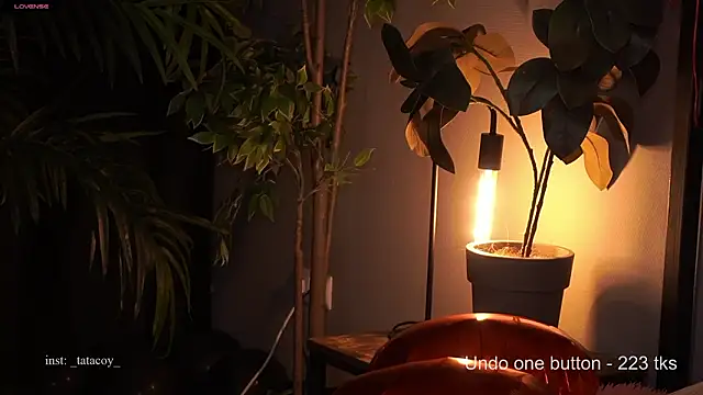 Snapshot of TataCoy chatting on February 15, 2026, 2:49 pm TataCoy online show from February 15, 2026, 2:49 pm