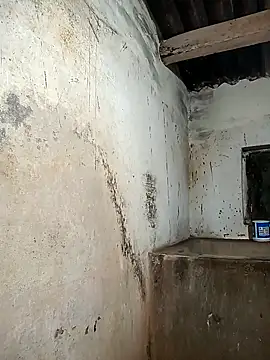 Kannadaboymanu online show from December 2, 2024, 1:41 pm