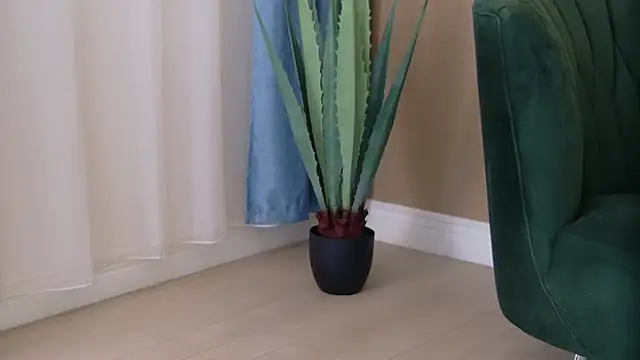 Snapshot of Bailey_Rush chatting on November 25, 2025, 3:34 pm Bailey Rush online show from November 25, 2025, 3:34 pm