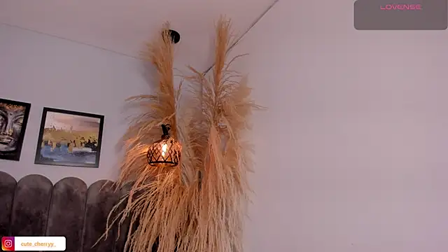 cute  cherry  online show from April 14, 2026, 8:25 pm