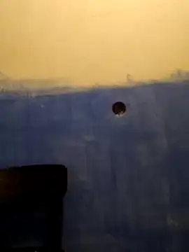 kb516 online show from November 30, 2025, 12:11 am