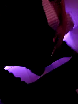 Damazo online show from February 23, 2026, 8:59 am