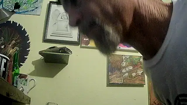 druetrue online show from November 9, 2025, 10:03 pm