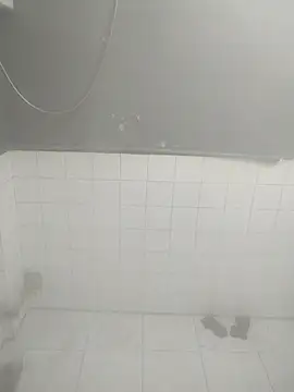 Snapshot of _Scorpion_ chatting on March 17, 2025, 5:49 pm Scorpion online show from March 17, 2025, 5:49 pm