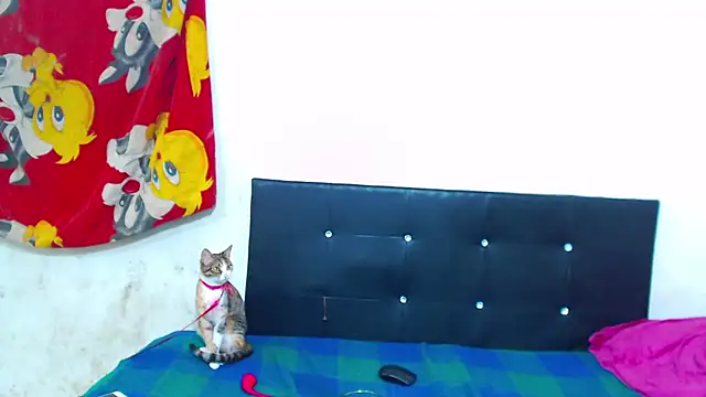 Snapshot of The_wickles_4443 chatting on February 9, 2026, 5:05 am The wickles 4443 online show from February 9, 2026, 5:05 am